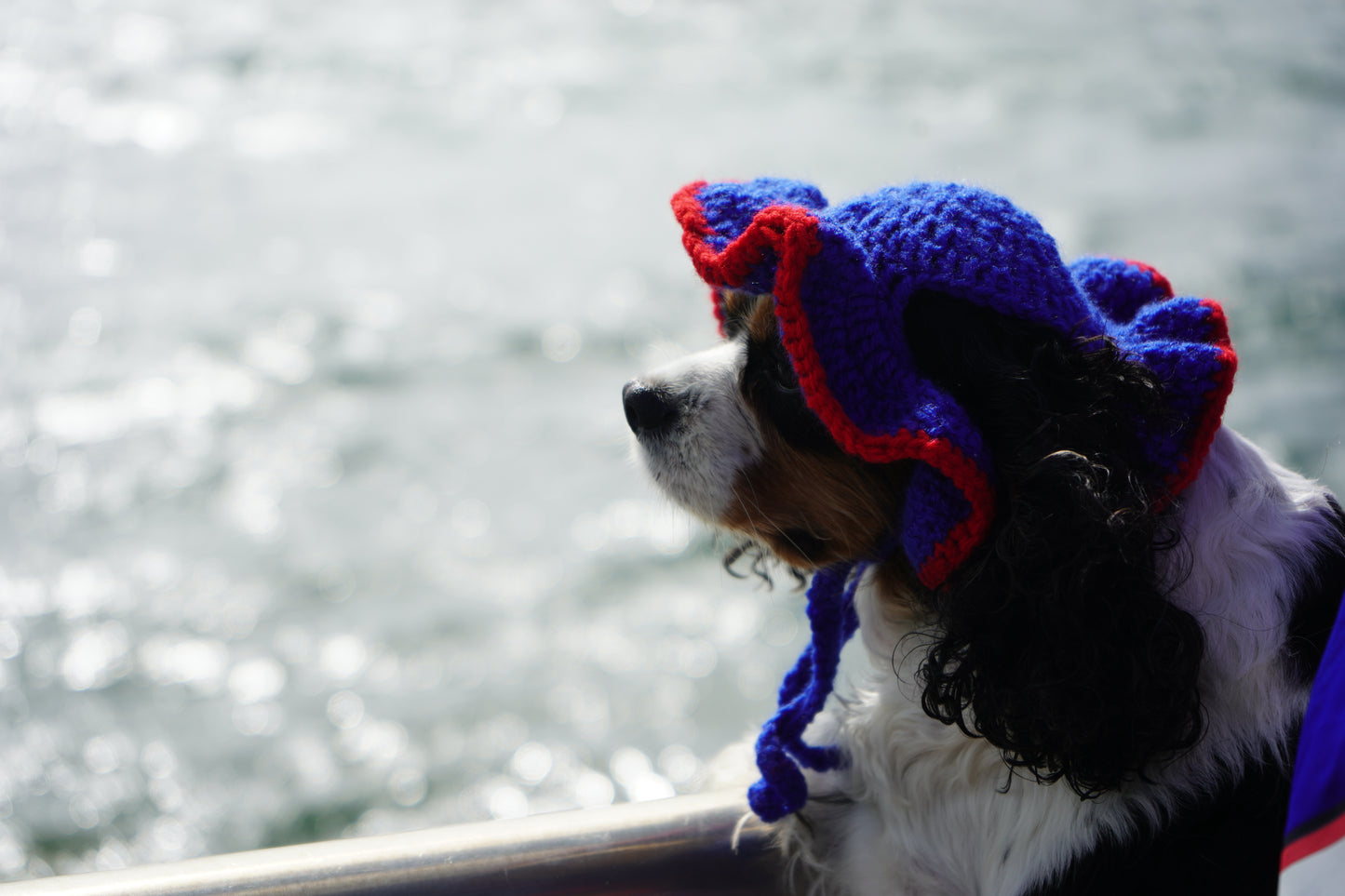 Ruffle crochet hat (pet)