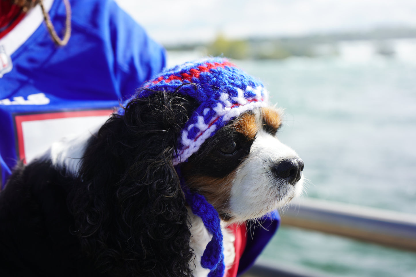 Blue striped Beanie (pet)